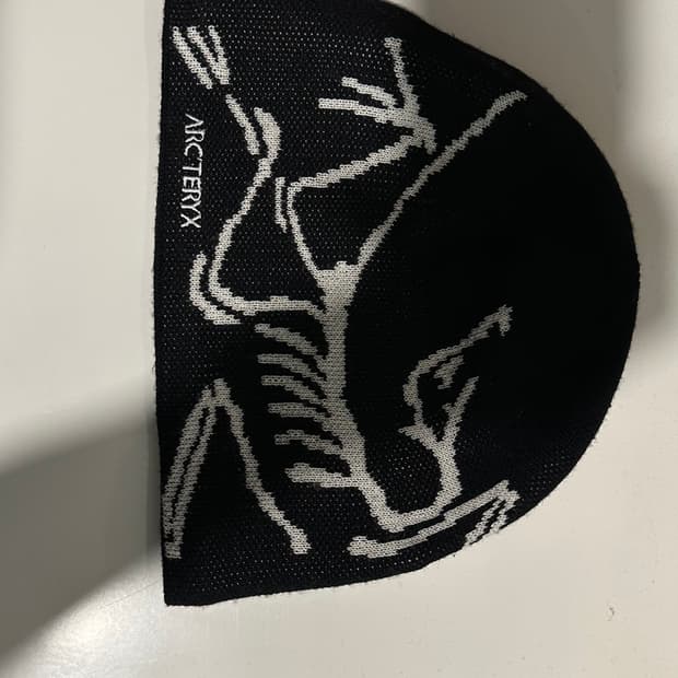 아크테릭스  버드 헤드 토크 오르카