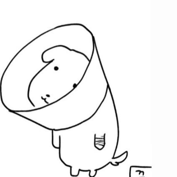 결제창