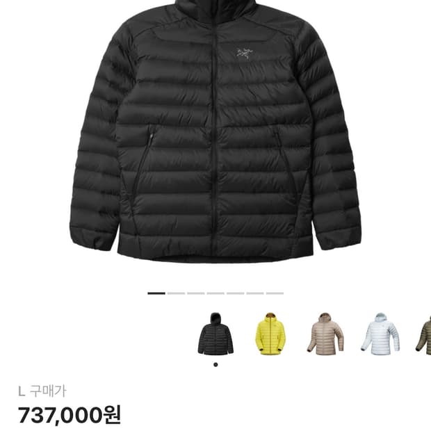 아크테릭스 세륨 블랙