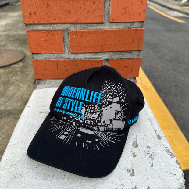 vintage airwalk cap
