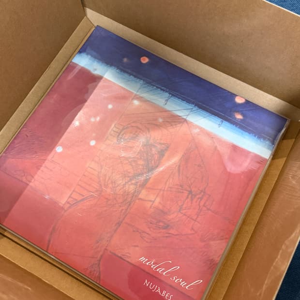 Nujanes 누자베스 모달소울 Modal Soul LP 바이닐