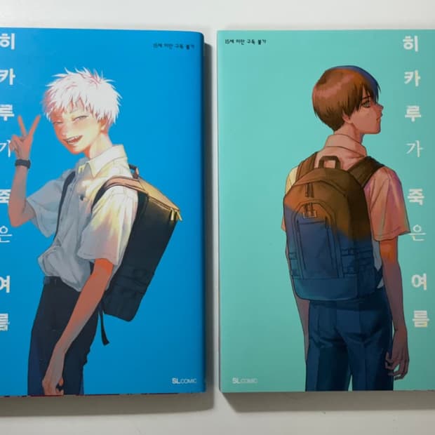 히카루가 죽은 여름