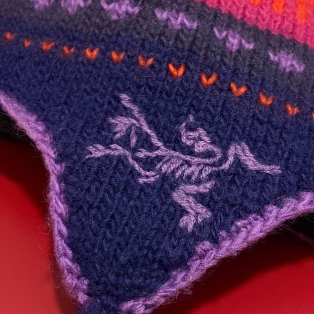 아크테릭스 beanie