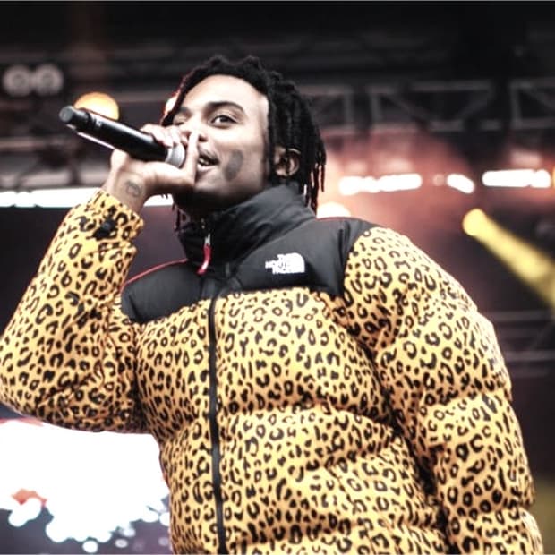 카티 노스페이스 레오파드 구스다운 패딩 사이즈 L