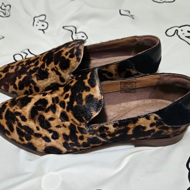 락포트 로퍼 퍼페추아(Perpetua) 240