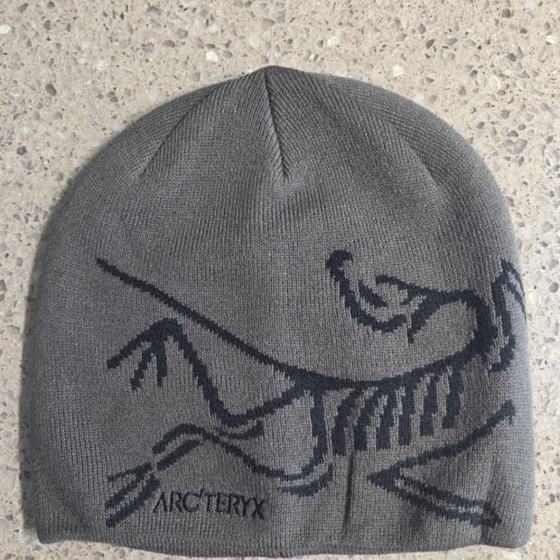 아크테릭스 버드헤드 비니