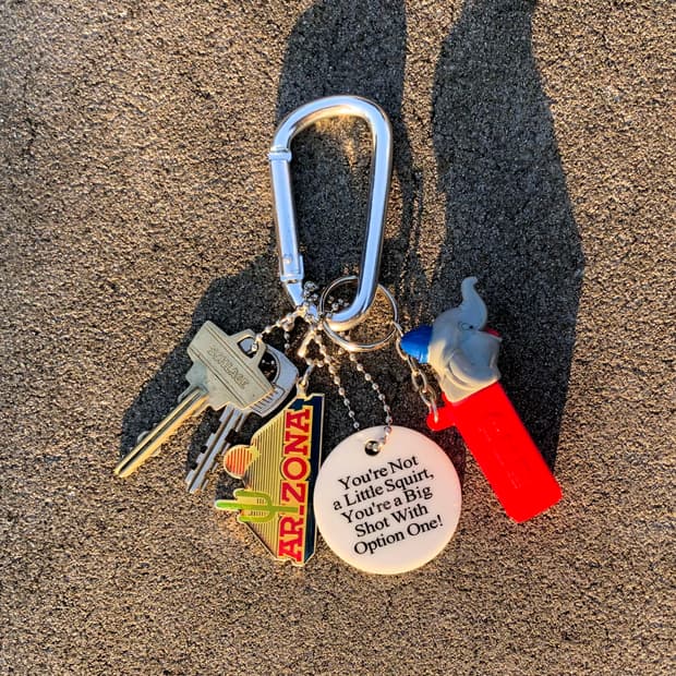 🎁Someone's Keyring #331