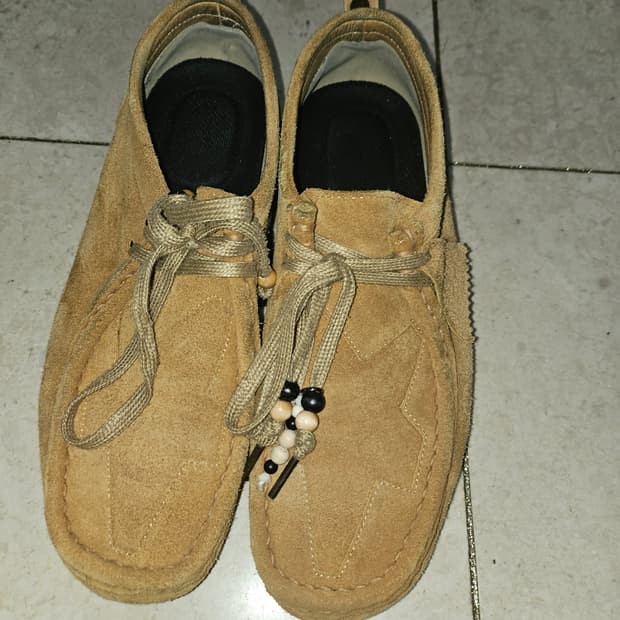 폴리테루 별라비 카멜3