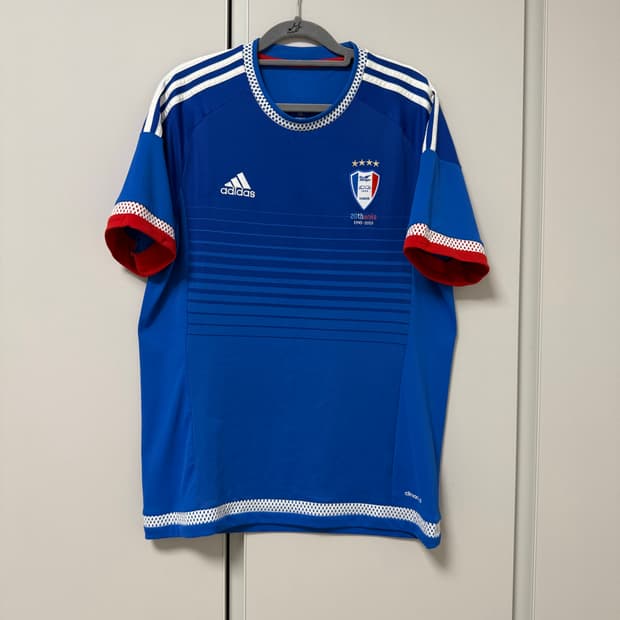 2015 수원 블루윙즈 홈 105 판매