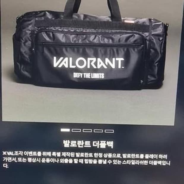 발로란트 더플백판매합니다.