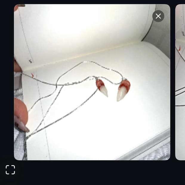 Fang Charm Necklace Sliver 925