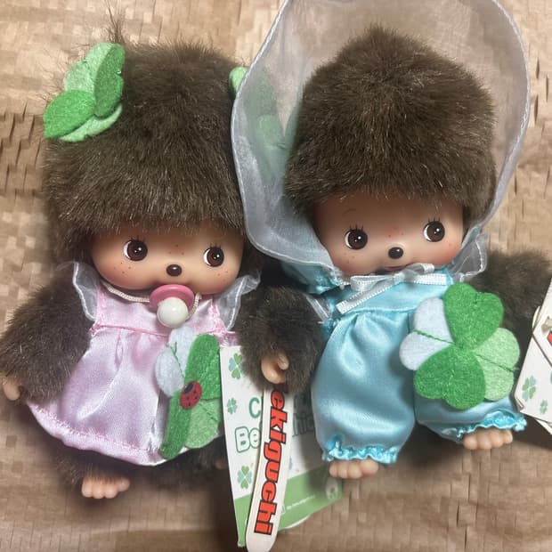 클로버 베비치치 세트 