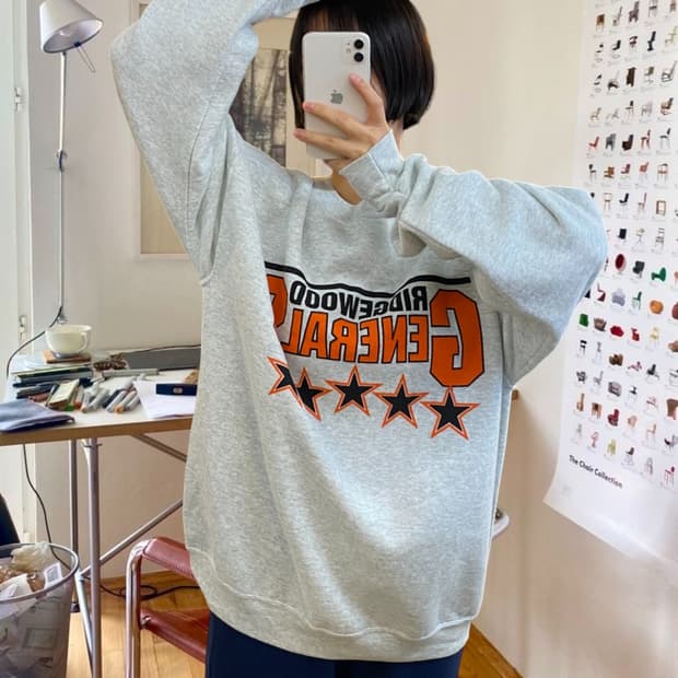 프룻오브더룸 빈티지 맨투맨 (Man XL) AA0983