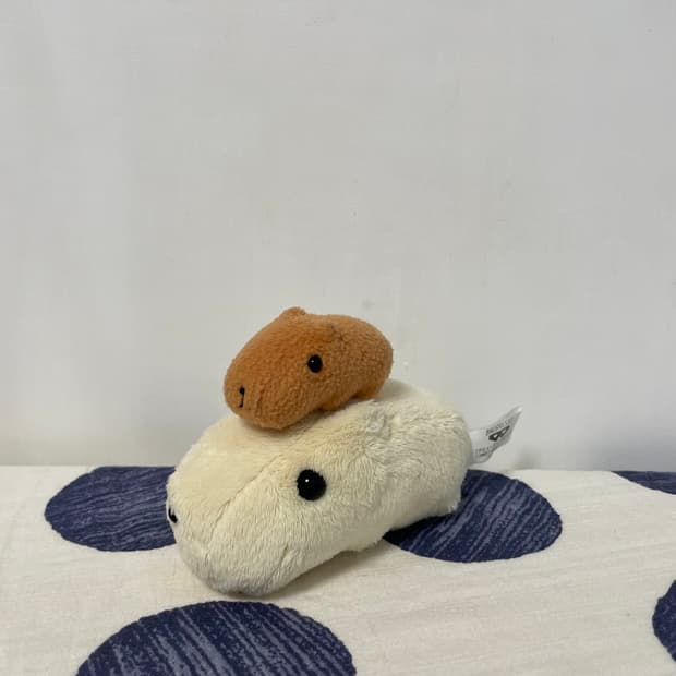 카피바라 아기가 올라탄 카피바라 인형