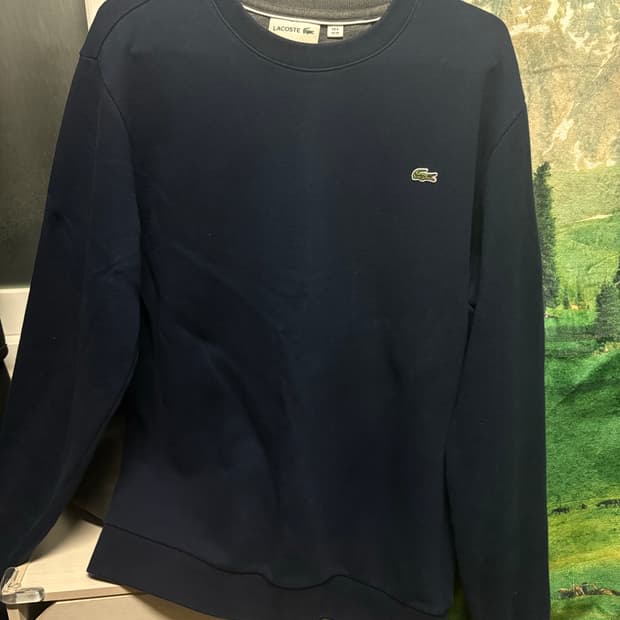 라코스테 맨투맨M