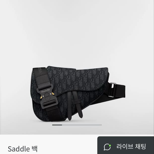 디올 새들백