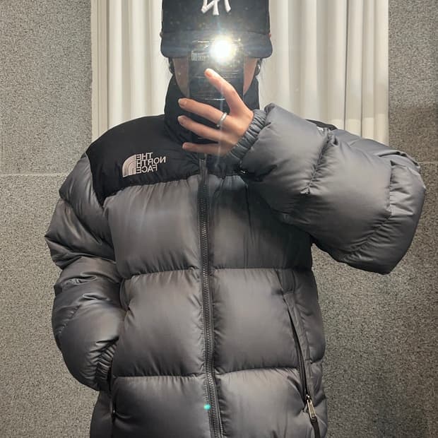 The North Face Nuptse Gray