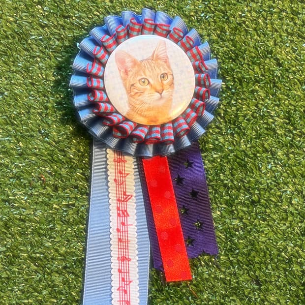 씩씩한 고양이 로제트 🐱