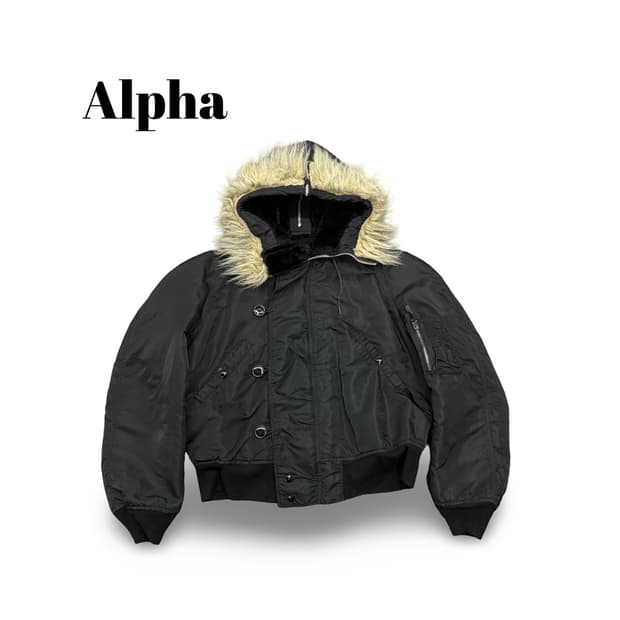 (100)알파인더스트리n2b