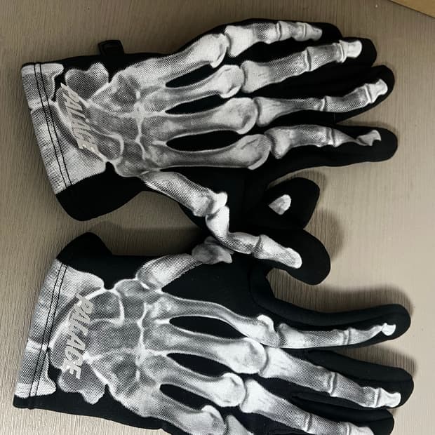 팔라스 본 장갑