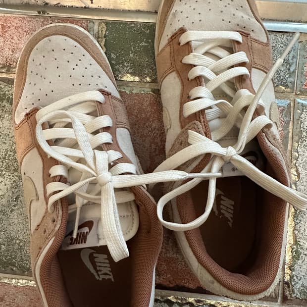 나이키 덩크 로우 프로 프리미엄 미디움 커리