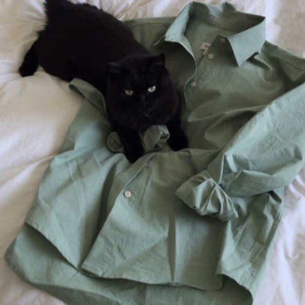 시엔느 세이지코튼셔츠 그린