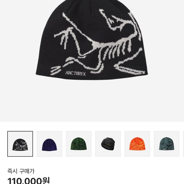 아크테릭스비니