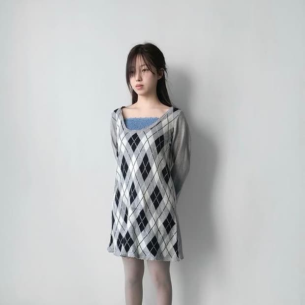 이알로이지 슬리브리스