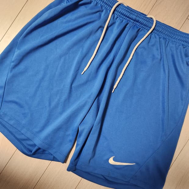 나이키 드라이핏 블루 숏팻츠 사이즈L

여러 중고사이트에도 같이 판매하고