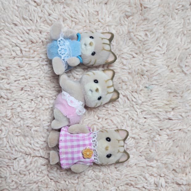 실바니안 시마네코 베이비들 판매합니다