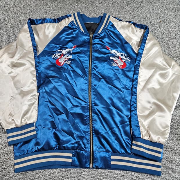 선바 메드포실 스카쟌