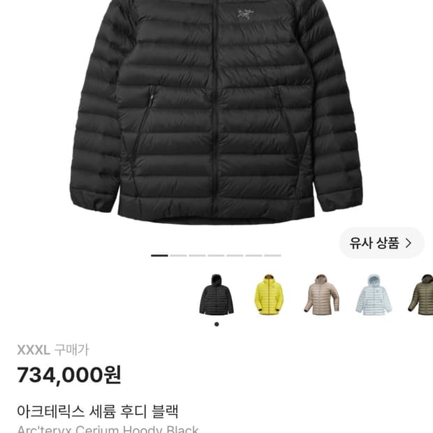 아크테릭스 세륨 후디 블랙