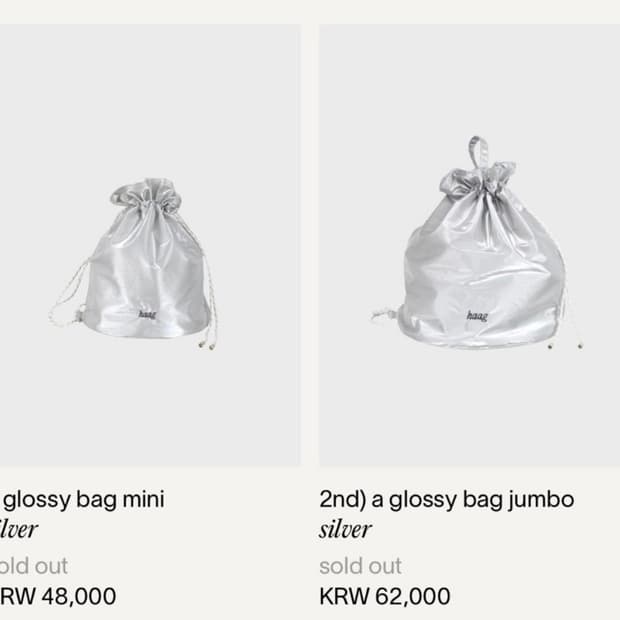 haag a glosy bag mini 
