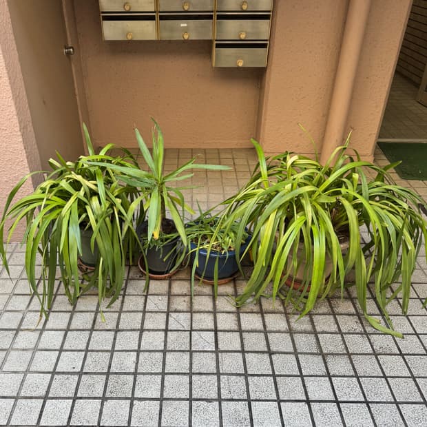 heeeji님 개인결제창