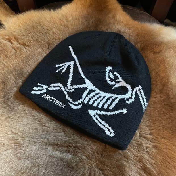 아크테릭스 비니