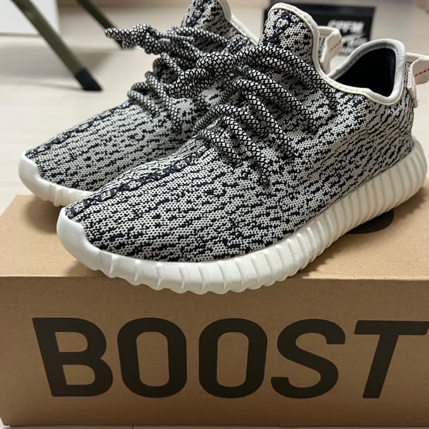 (255)이지부스트 350 터틀도브