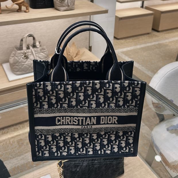 디올 오블리크 토트백 스몰 