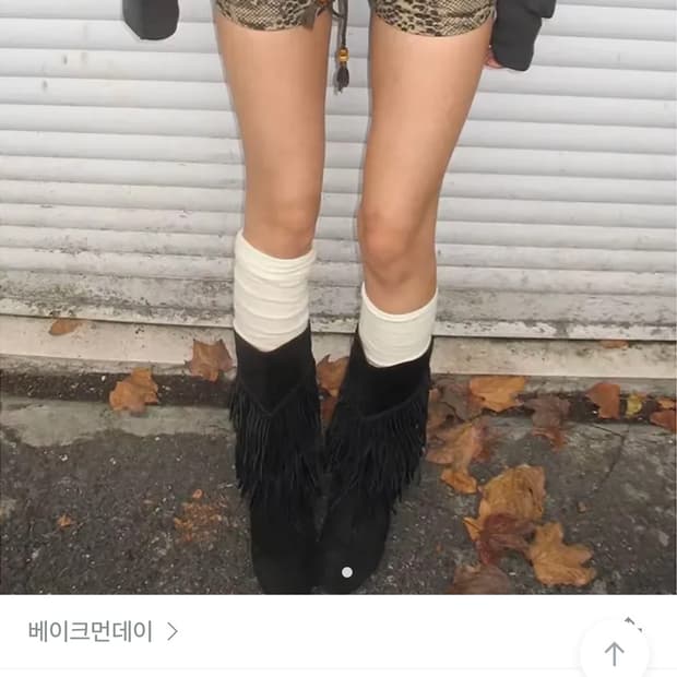 베이크먼데이 파이톤 쇼츠