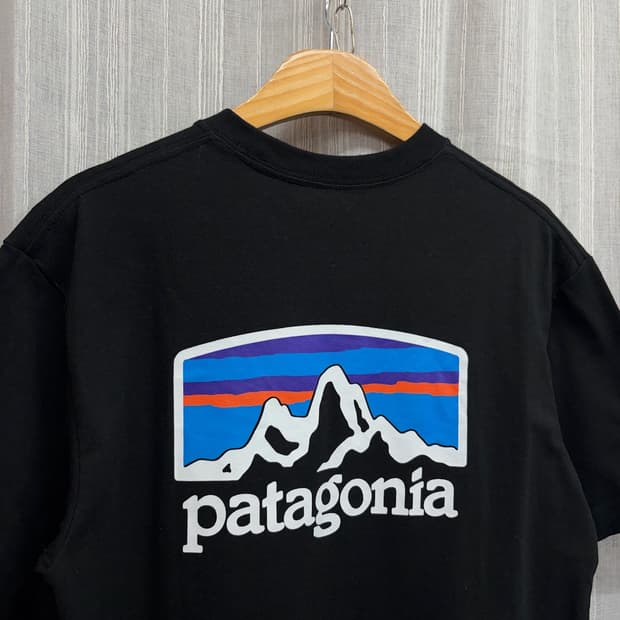 Patagonia 파타고니아 피츠 로이 호라이즌즈 리스폰시빌리 티셔츠