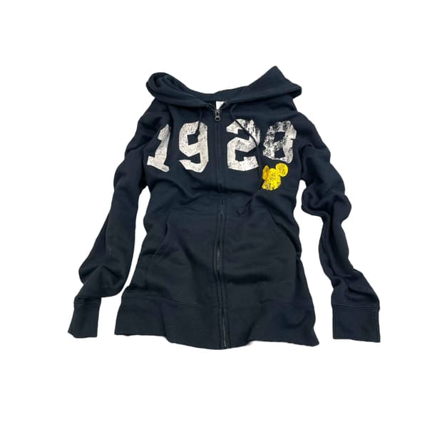 Disney hooded zip up