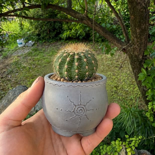 Little Sun Plant Pot