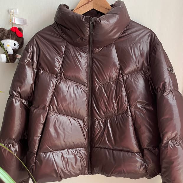 The North Face 2023FW Short Down Jacket 