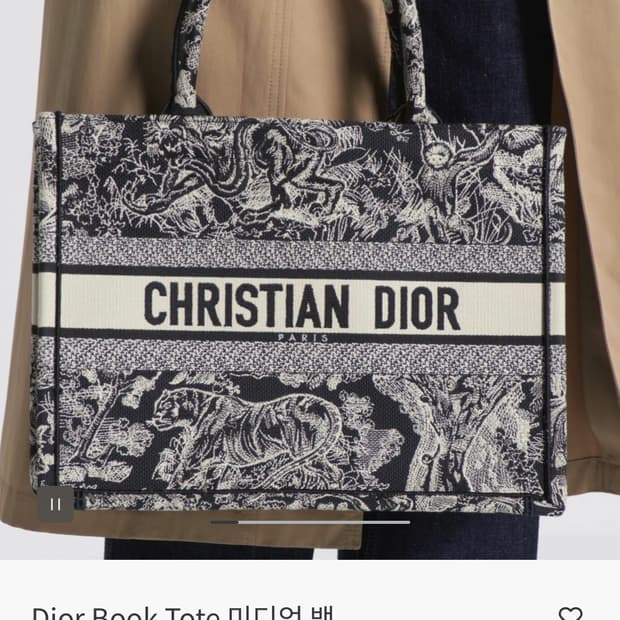 디올 뜨왈드주이 북토트백 미디엄