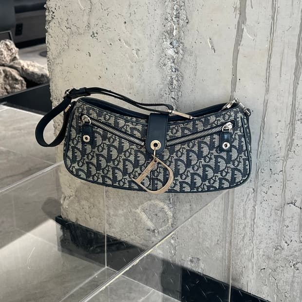 디올 오블리크 D참 바게트백