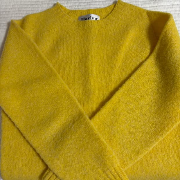 할리 오브 스코틀랜드 쉐기독 s