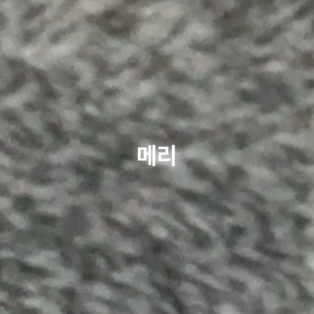 무료나눔 프로필 놀러오세요 무료나눔 