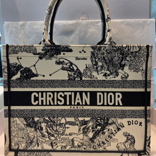 Dior Book Tote 미디엄 백