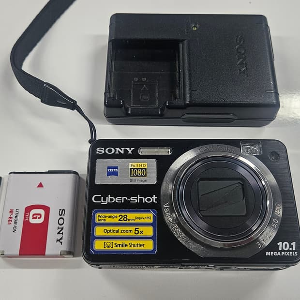 소니 사이버샷 DSC-W170 디지털카메라