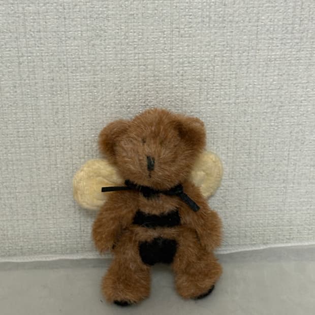 보이즈베어 벌 쪼꼬미