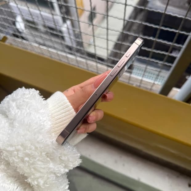 아이폰 16 Pro Max 데저트 256GB 자급제